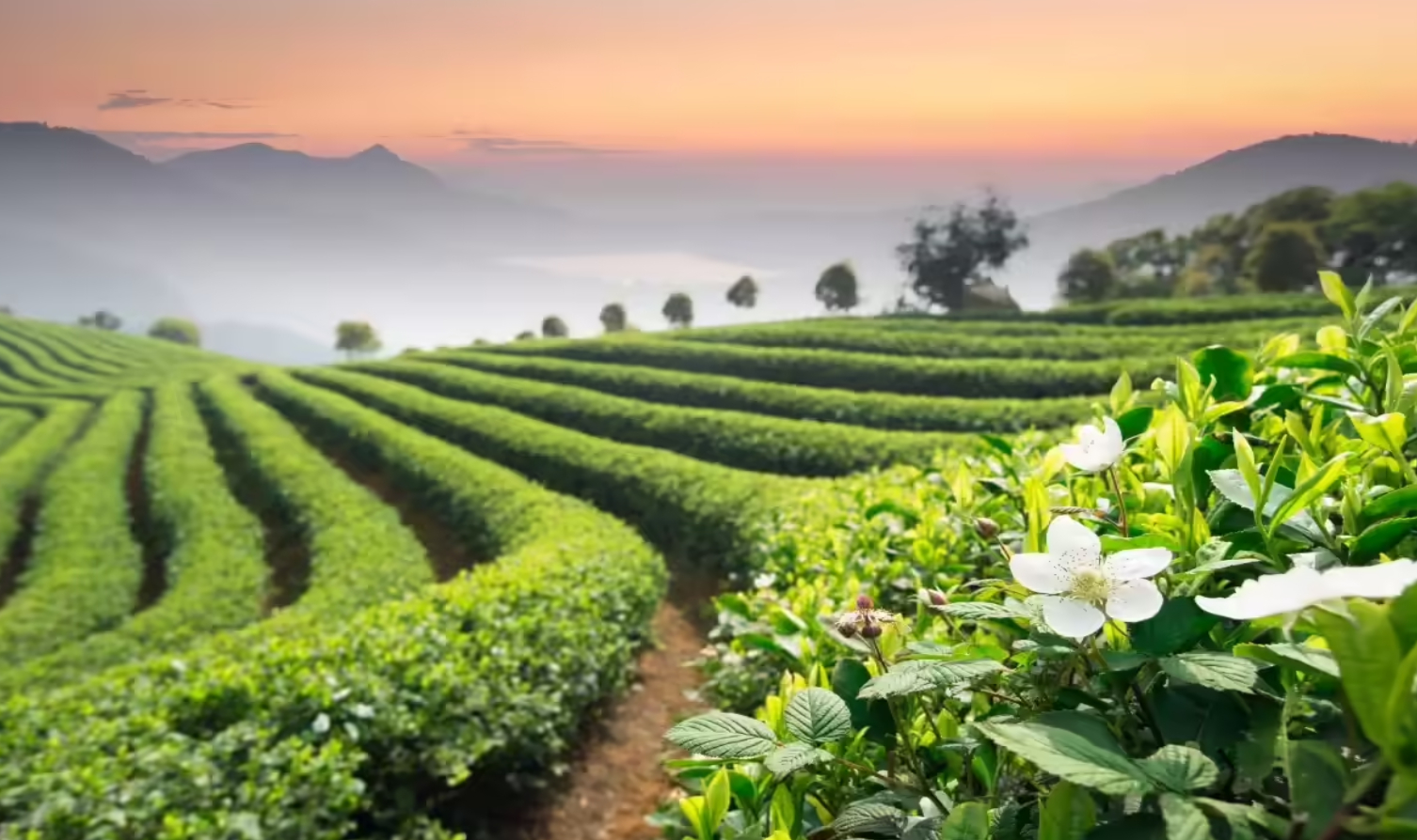 online hotel booking in Ayodhya